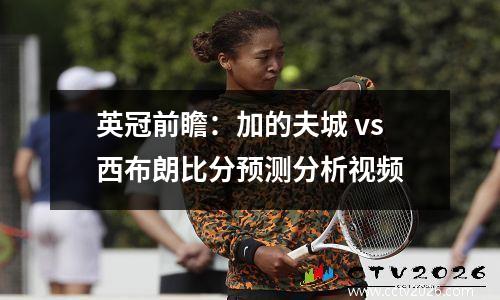 英冠前瞻：加的夫城 vs西布朗比分预测分析视频