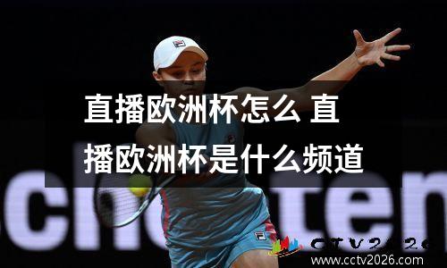 直播欧洲杯怎么 直播欧洲杯是什么频道