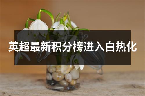 英超最新积分榜进入白热化