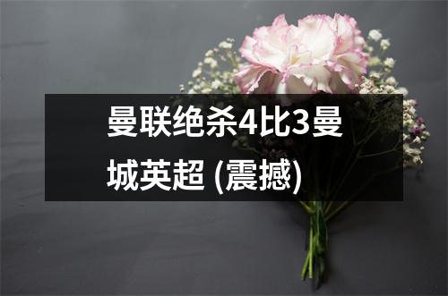 曼联绝杀4比3曼城英超 (震撼)