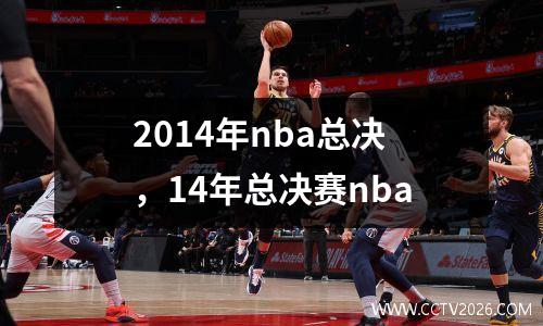 2014年nba总决，14年总决赛nba