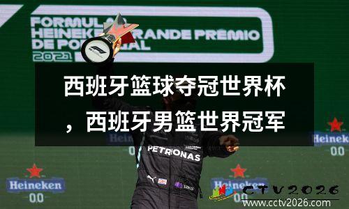 西班牙篮球夺冠世界杯，西班牙男篮世界冠军