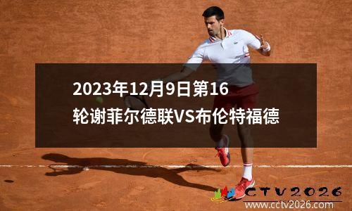 2023年12月9日第16轮谢菲尔德联VS布伦特福德