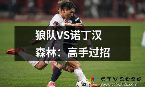 狼队VS诺丁汉森林：高手过招