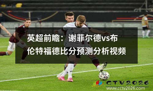 英超前瞻：谢菲尔德vs布伦特福德比分预测分析视频