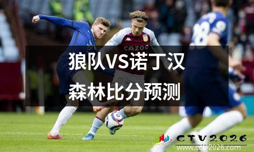 狼队VS诺丁汉森林比分预测