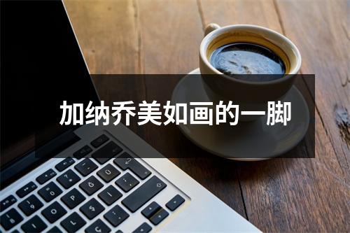 加纳乔美如画的一脚