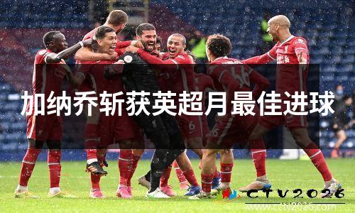 加纳乔斩获英超月最佳进球