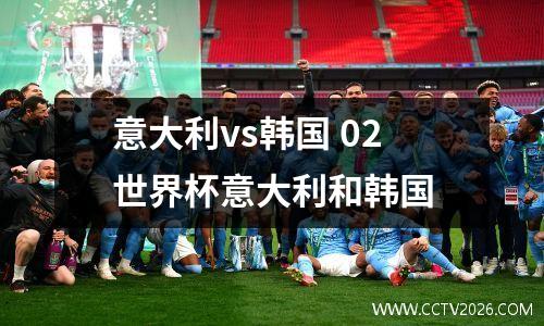 意大利vs韩国 02世界杯意大利和韩国