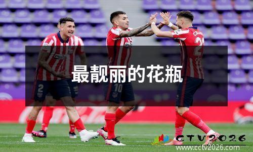 最靓丽的花瓶