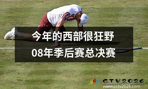 今年的西部很狂野 08年季后赛总决赛