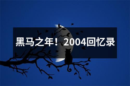 黑马之年！2004回忆录