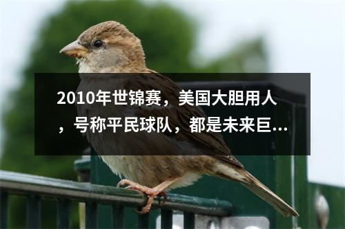 2010年世锦赛，美国大胆用人，号称平民球队，都是未来巨星