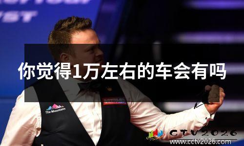 你觉得1万左右的车会有吗