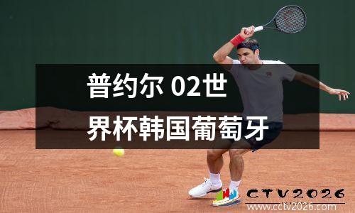 普约尔 02世界杯韩国葡萄牙