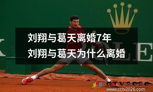 刘翔与葛天离婚7年 刘翔与葛天为什么离婚