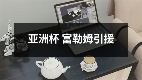 亚洲杯 富勒姆引援
