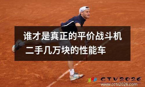 谁才是真正的平价战斗机 二手几万块的性能车