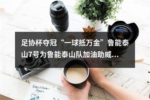 足协杯夺冠“一球抵万金”鲁能泰山7号为鲁能泰山队加油助威 鲁能泰山足球比赛
