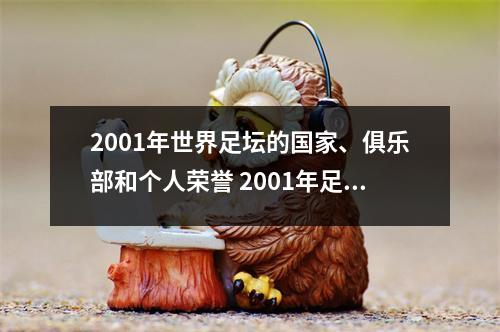 2001年世界足坛的国家、俱乐部和个人荣誉 2001年足球国家队