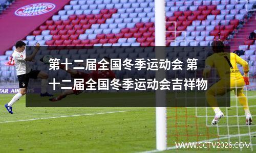 第十二届全国冬季运动会 第十二届全国冬季运动会吉祥物