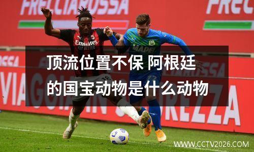 顶流位置不保 阿根廷的国宝动物是什么动物