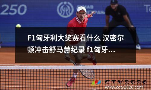 F1匈牙利大奖赛看什么 汉密尔顿冲击舒马赫纪录 f1匈牙利赛道图