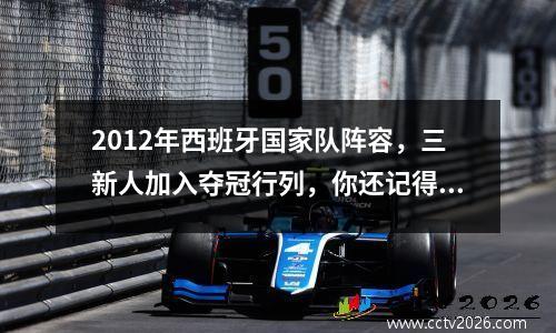 2012年西班牙国家队阵容，三新人加入夺冠行列，你还记得多少 2012 西班牙阵容