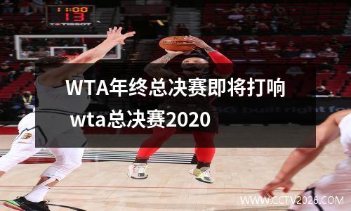 WTA年终总决赛即将打响 wta总决赛2020