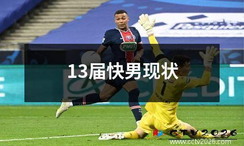 13届快男现状