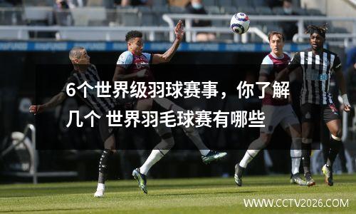 6个世界级羽球赛事，你了解几个 世界羽毛球赛有哪些