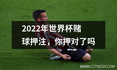 2022年世界杯赌球押注，你押对了吗