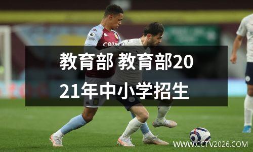 教育部 教育部2021年中小学招生