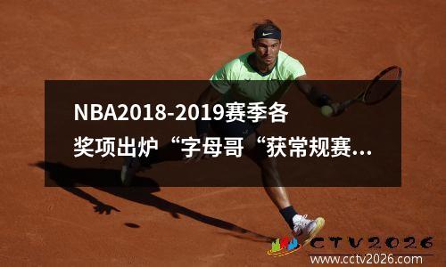 NBA2018-2019赛季各奖项出炉“字母哥“获常规赛MVP nba奖项2020公布