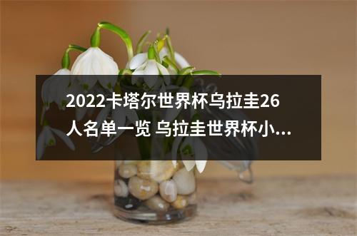 2022卡塔尔世界杯乌拉圭26人名单一览 乌拉圭世界杯小组赛