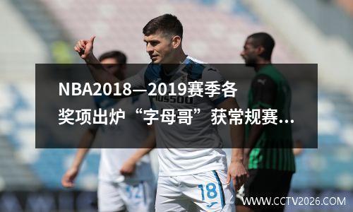 NBA2018—2019赛季各奖项出炉“字母哥”获常规赛MVP nba年度奖项