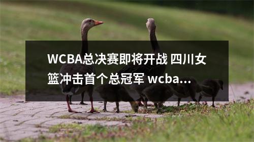 WCBA总决赛即将开战 四川女篮冲击首个总冠军 wcba总决赛第四场录像回放