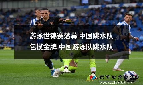 游泳世锦赛落幕 中国跳水队包揽金牌 中国游泳队跳水队