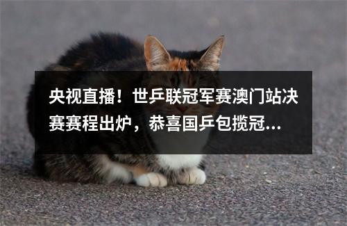 央视直播！世乒联冠军赛澳门站决赛赛程出炉，恭喜国乒包揽冠亚军 世乒联澳门国际乒乓球决赛时间