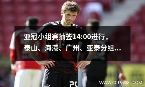 亚冠小组赛抽签14:00进行，泰山、海港、广州、亚泰分组将揭晓 亚冠小组抽签结果出炉