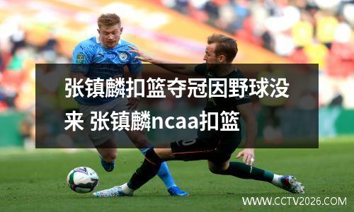张镇麟扣篮夺冠因野球没来 张镇麟ncaa扣篮