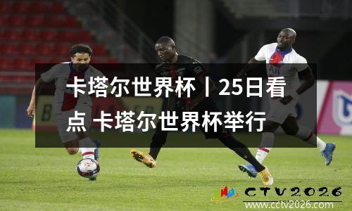 卡塔尔世界杯丨25日看点 卡塔尔世界杯举行