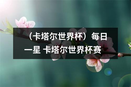 （卡塔尔世界杯）每日一星 卡塔尔世界杯赛