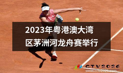 2023年粤港澳大湾区茅洲河龙舟赛举行