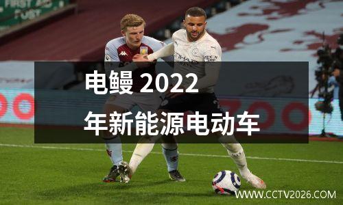 电鳗 2022年新能源电动车