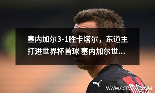 塞内加尔3-1胜卡塔尔，东道主打进世界杯首球 塞内加尔世界杯阵容