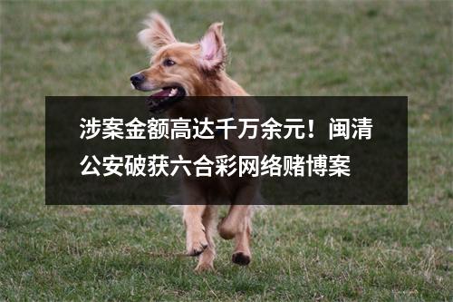 涉案金额高达千万余元！闽清公安破获六合彩网络赌博案