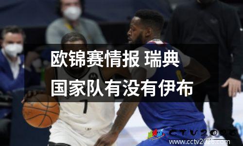 欧锦赛情报 瑞典国家队有没有伊布