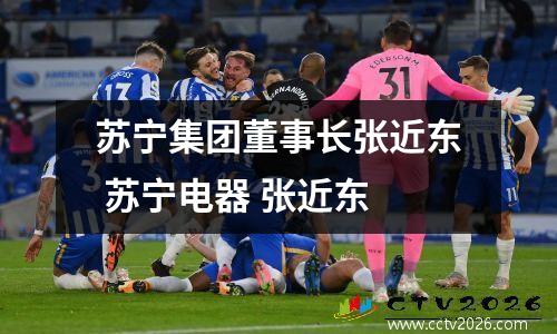 苏宁集团董事长张近东 苏宁电器 张近东