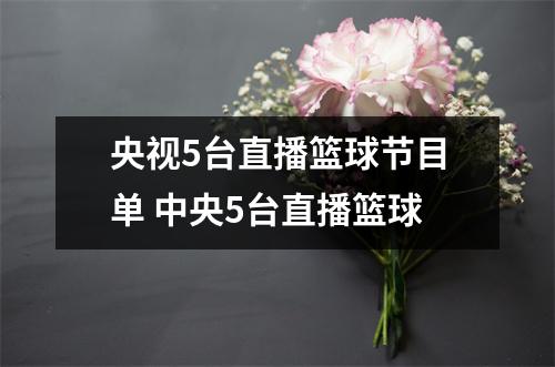 央视5台直播篮球节目单 中央5台直播篮球